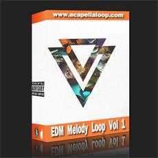 旋律素材/EDM Melody Loop(128bpm)